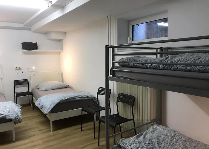 Brahms 25 홈스테이