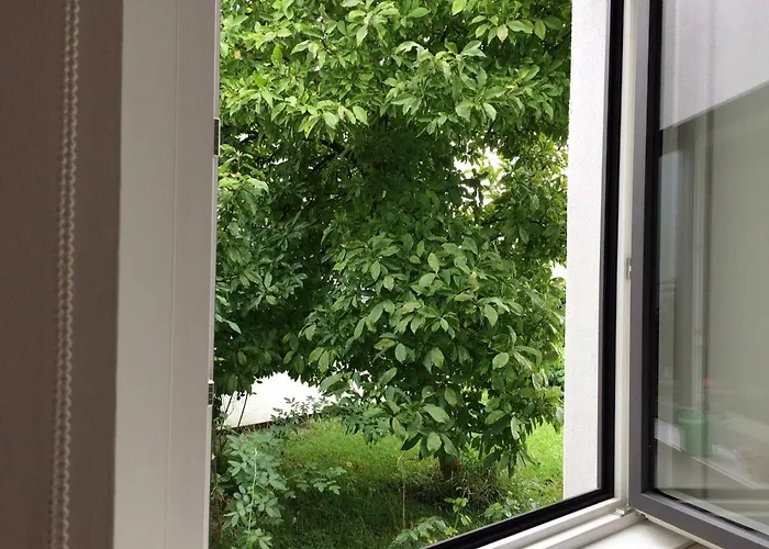 Brahms 25 Homestay *